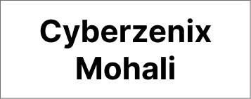 Cyberzenix Mohali Logo